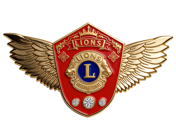 Custom Enamel Pin